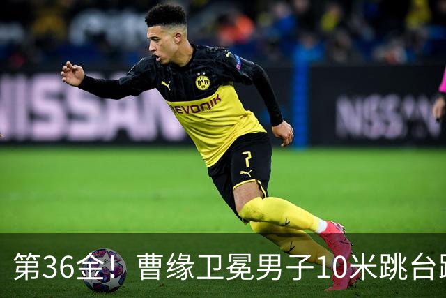 第36金！曹缘卫冕男子10米跳台跳水金牌